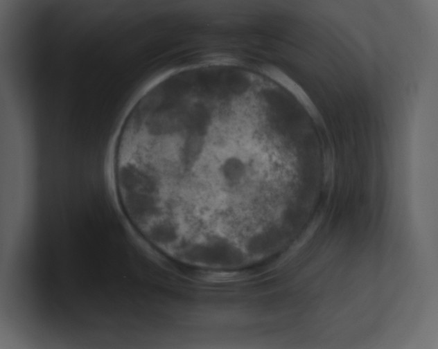 X0000100491439200807111113