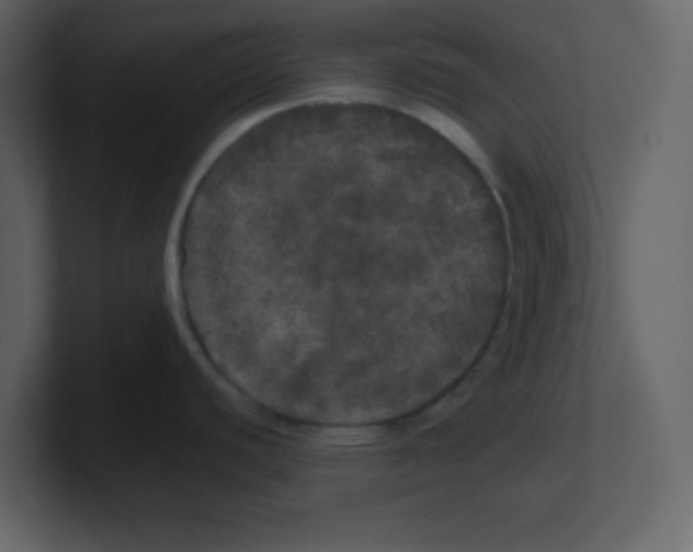 X0000100491440200807111113