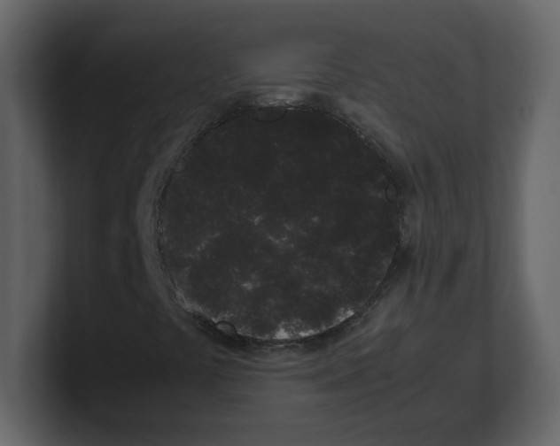 X0000100491441200807111112