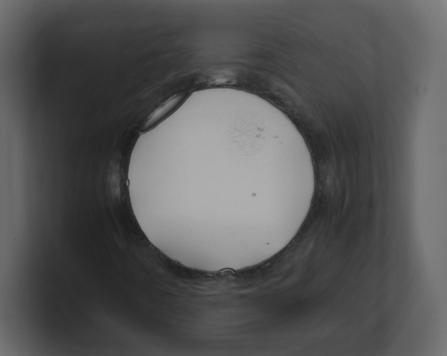 X0000100491442200807111112