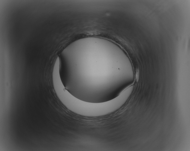 X0000100491444200807111112