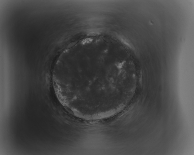 X0000100491445200807111112