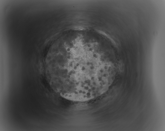 X0000100491446200807111112