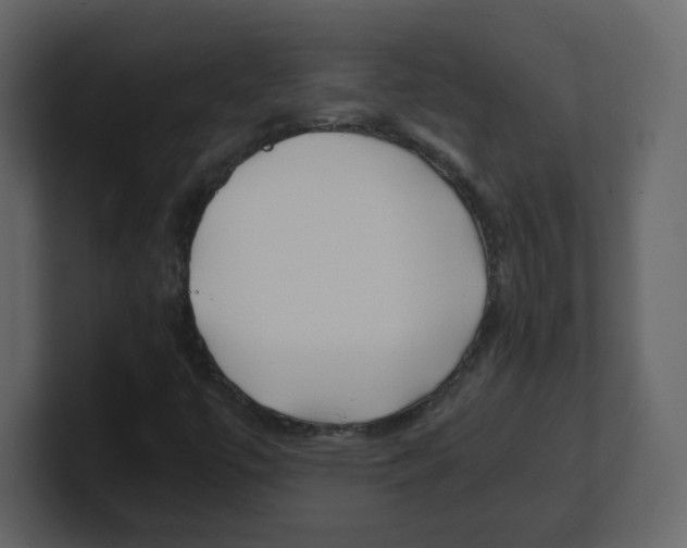 X0000100491447200807111112