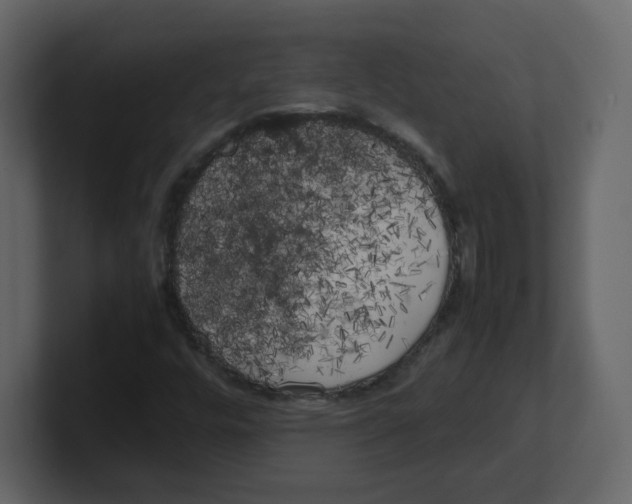 X0000100491448200807111112