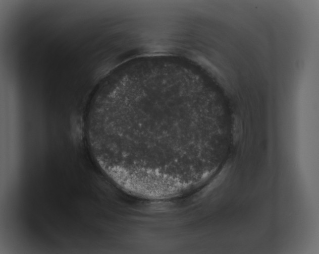 X0000100491449200807111112