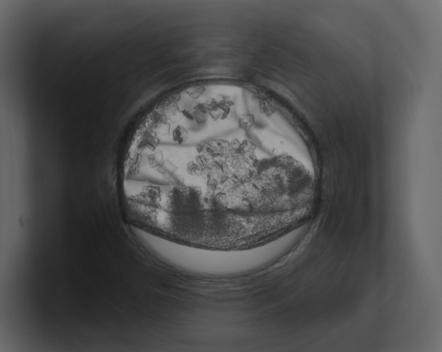 X0000100491450200807111112