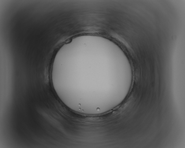X0000100491451200807111112