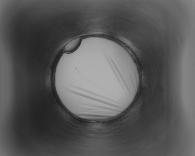 X0000100491452200807111112