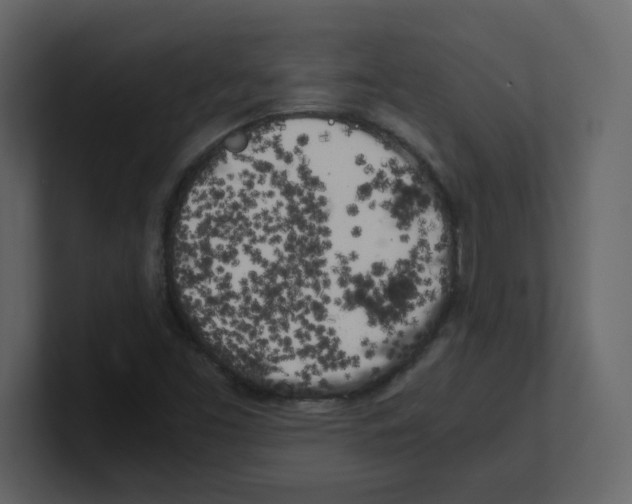 X0000100491453200807111112