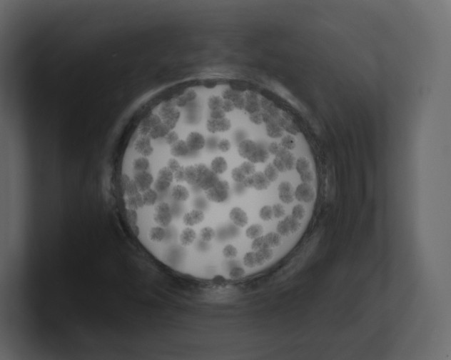 X0000100491454200807111112