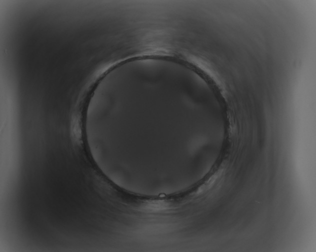 X0000100491455200807111112