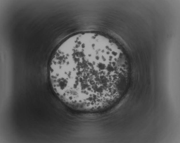 X0000100491457200807111112