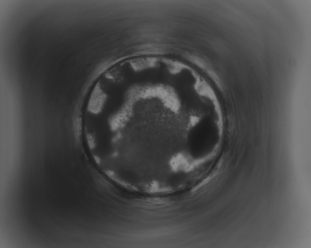 X0000100491459200807111112