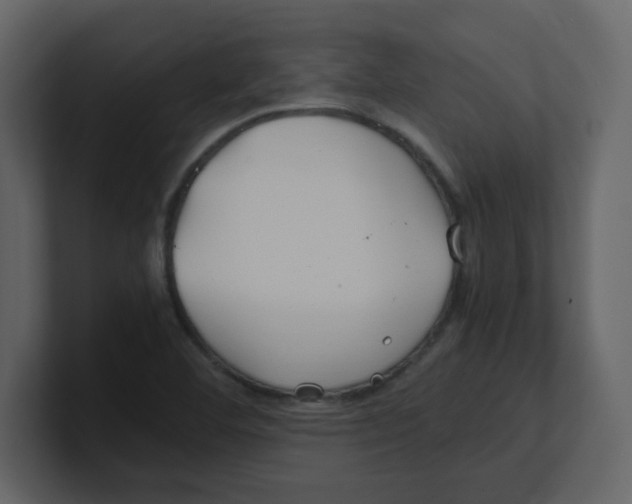 X0000100491460200807111112