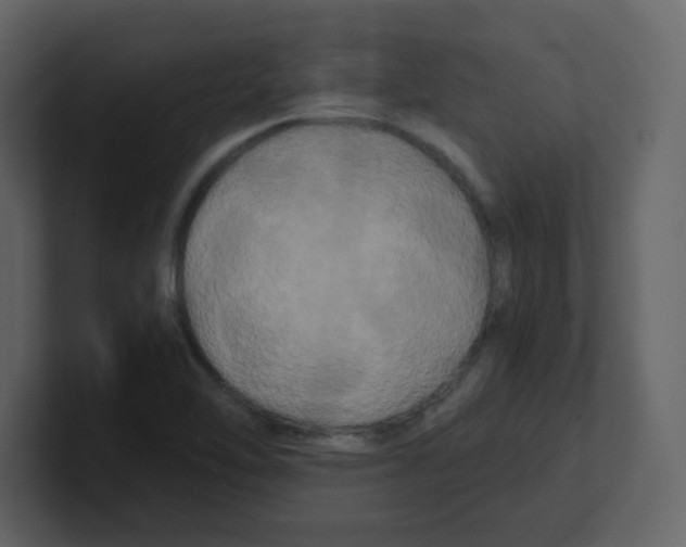 X0000100491462200807111112