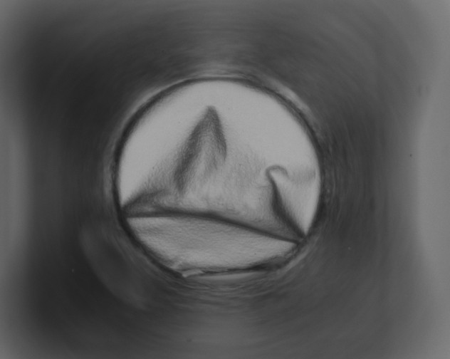 X0000100491463200807111112