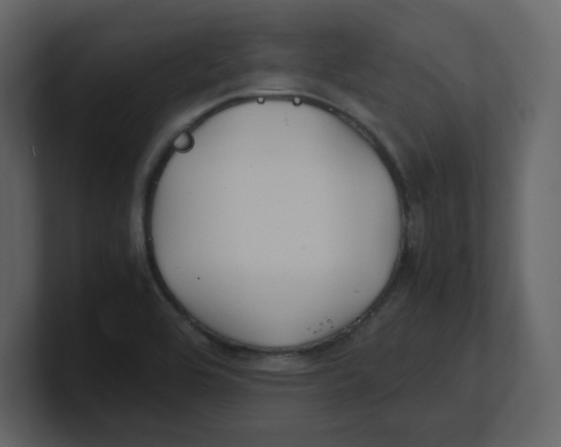 X0000100491464200807111112