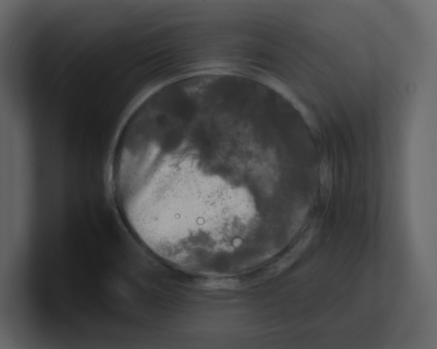 X0000100491466200807111112