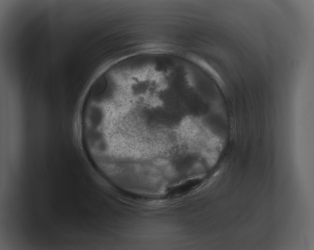 X0000100491467200807111112