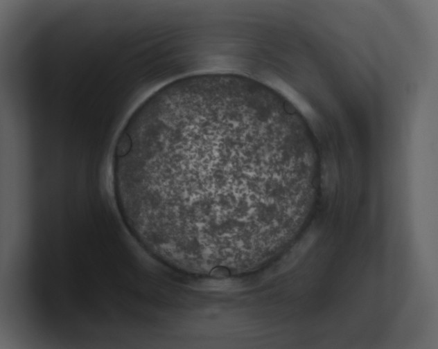 X0000100491468200807111112