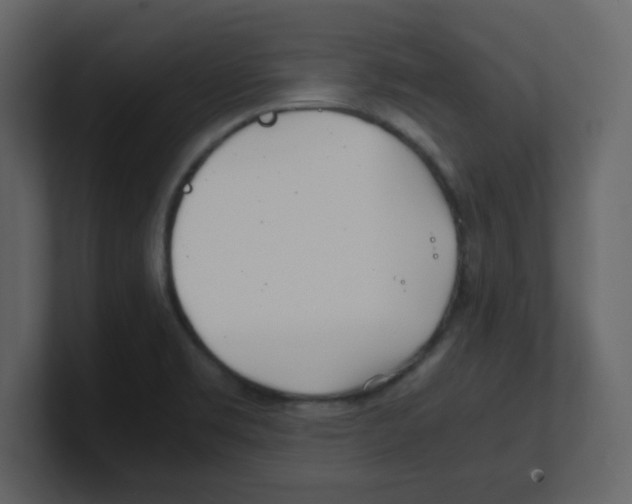 X0000100491469200807111112