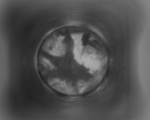 X0000100491471200807111112