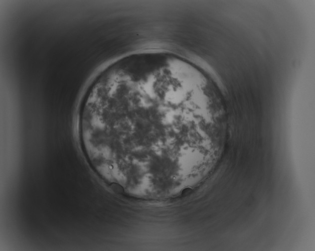 X0000100491472200807111112