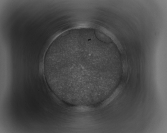 X0000100491473200807111112