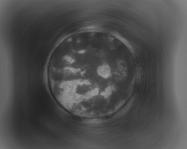X0000100491474200807111112