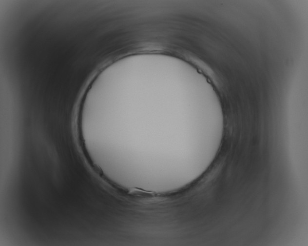 X0000100491475200807111112
