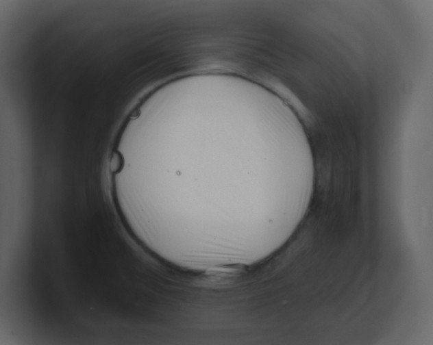 X0000100491476200807111112