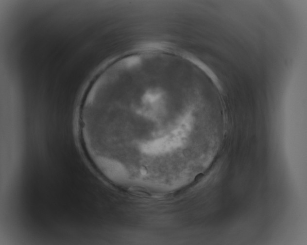 X0000100491477200807111112