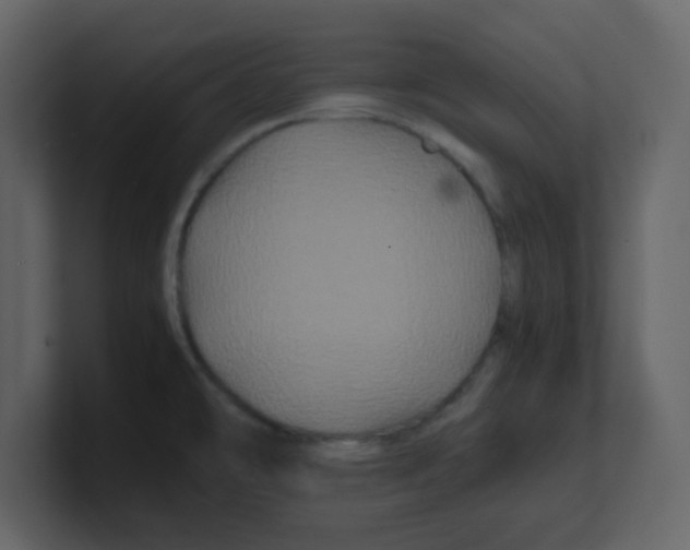 X0000100491478200807111112