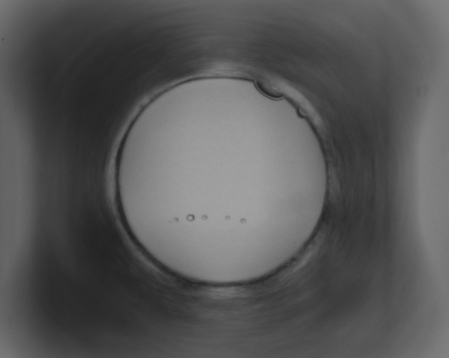 X0000100491479200807111112