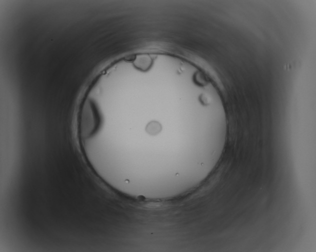 X0000100491480200807111112