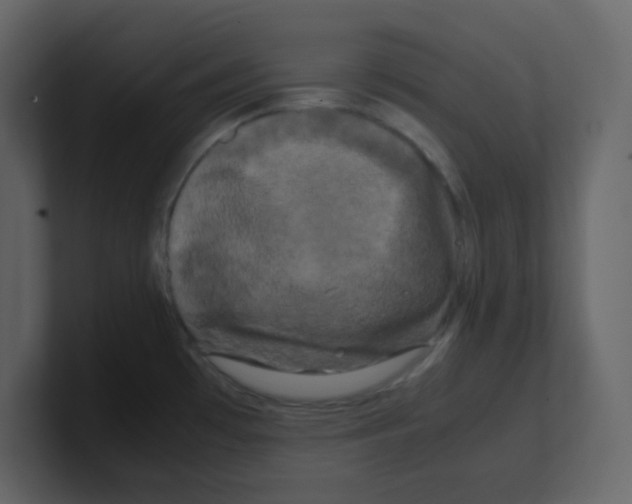 X0000100491481200807111112