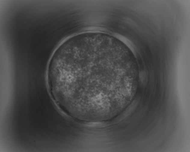 X0000100491482200807111112