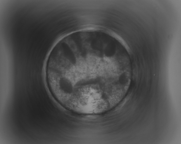 X0000100491483200807111112