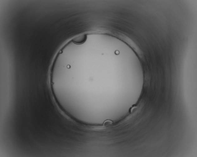 X0000100491484200807111112