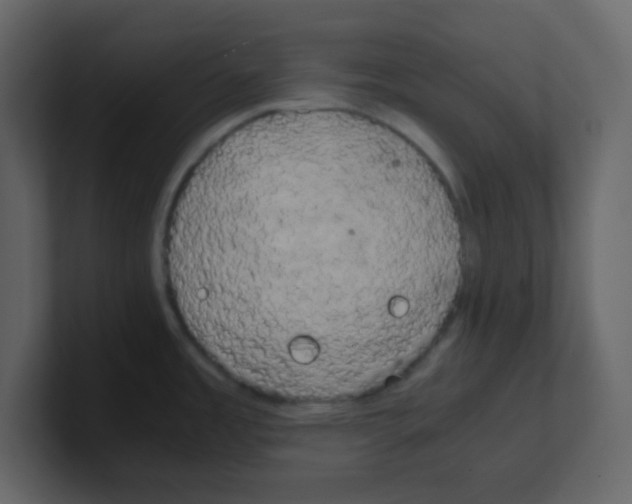 X0000100491485200807111112