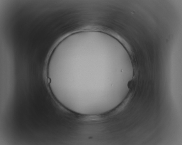 X0000100491486200807111112