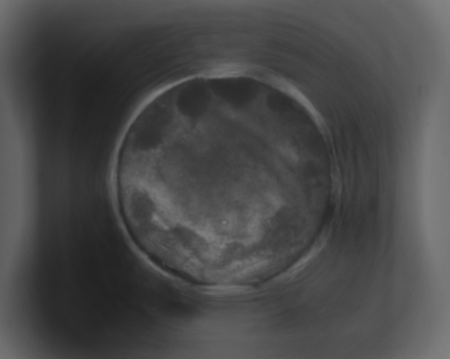X0000100491487200807111112