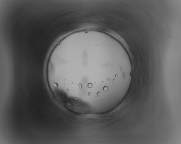 X0000100491488200807111112
