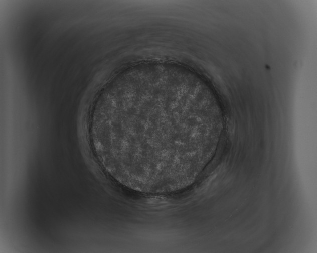 X0000100491489200807111111