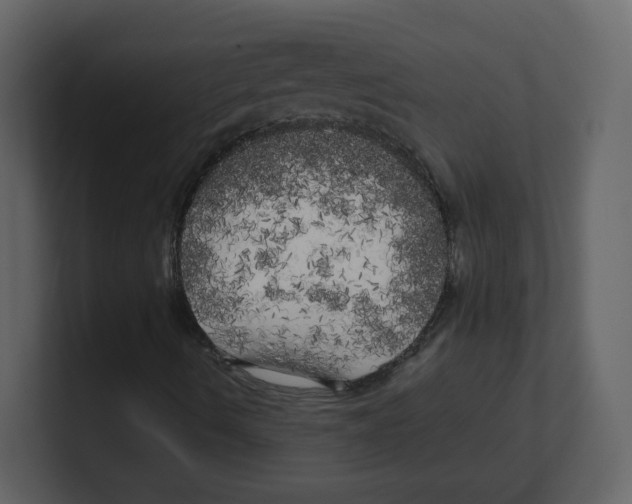 X0000100491490200807111111