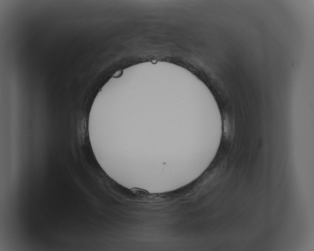 X0000100491492200807111111