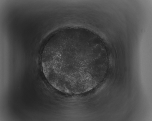 X0000100491494200807111111