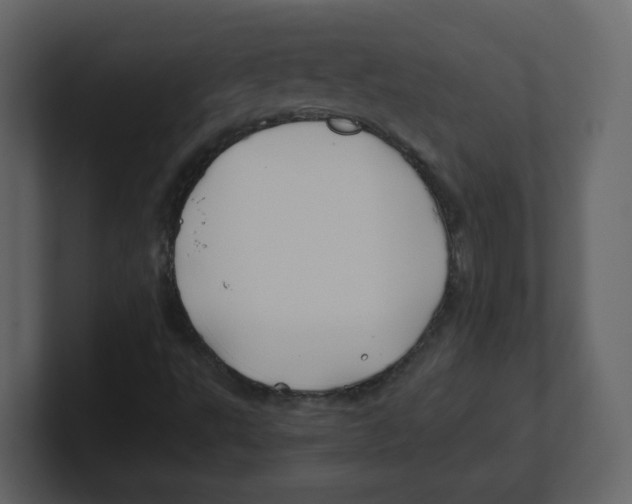 X0000100491495200807111111