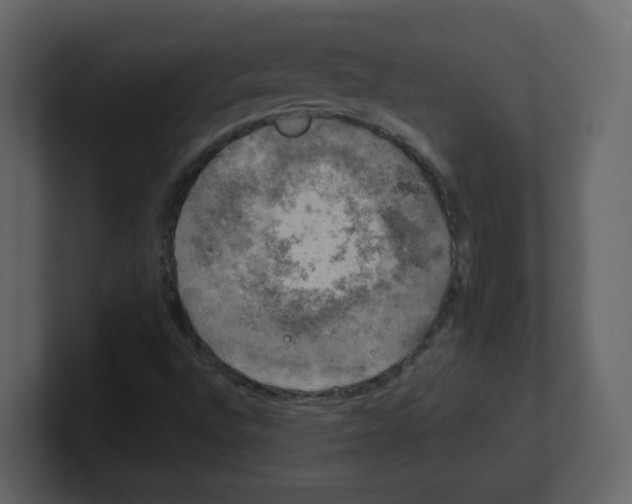 X0000100491496200807111111